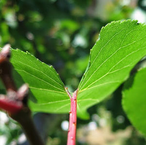 Meet your Posher, Kaytlen